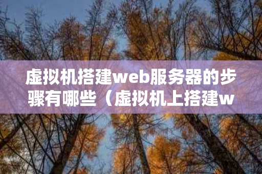 虚拟机搭建web服务器的步骤有哪些（虚拟机上搭建web服务器）