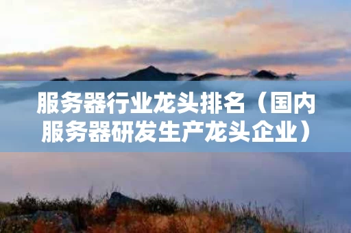 服务器行业龙头排名（国内服务器研发生产龙头企业）
