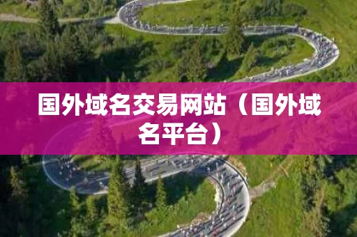 国外域名交易网站（国外域名平台）