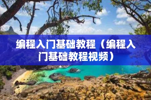编程入门基础教程（编程入门基础教程视频）