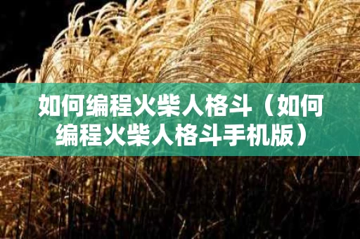 如何编程火柴人格斗（如何编程火柴人格斗手机版）