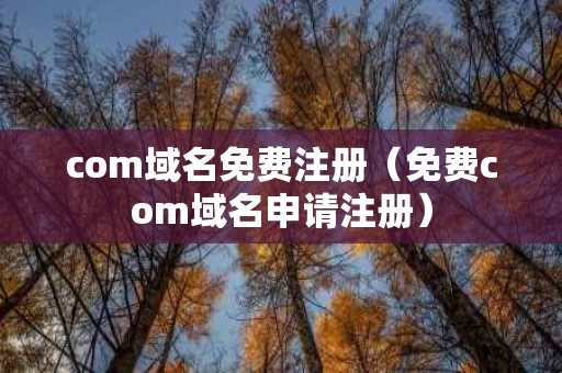 com域名免费注册（免费com域名申请注册）