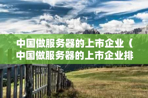 中国做服务器的上市企业（中国做服务器的上市企业排名）