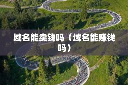 域名能卖钱吗（域名能赚钱吗）