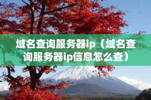 域名查询服务器ip（域名查询服务器ip信息怎么查）