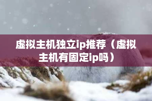 虚拟主机独立ip推荐（虚拟主机有固定ip吗）