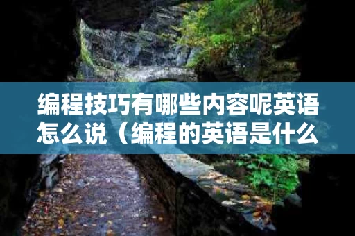 编程技巧有哪些内容呢英语怎么说（编程的英语是什么?）
