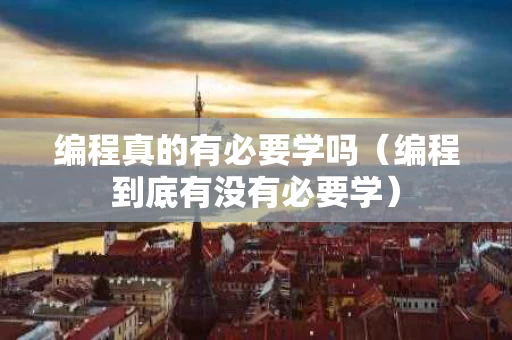 编程真的有必要学吗（编程到底有没有必要学）