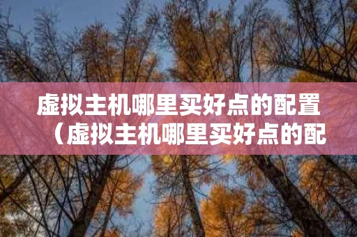 虚拟主机哪里买好点的配置（虚拟主机哪里买好点的配置软件）