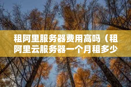 租阿里服务器费用高吗（租阿里云服务器一个月租多少钱）