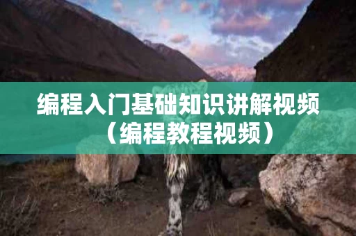 编程入门基础知识讲解视频（编程教程视频）