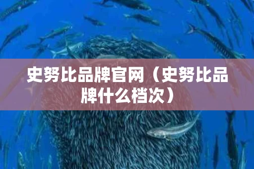史努比品牌官网（史努比品牌什么档次）