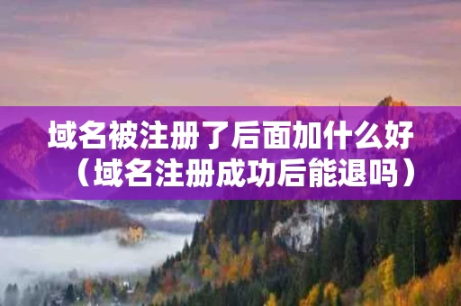 域名被注册了后面加什么好（域名注册成功后能退吗）