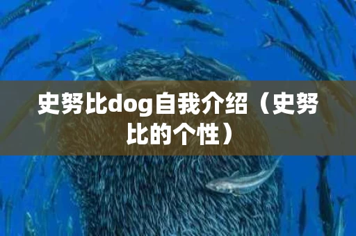 史努比dog自我介绍（史努比的个性）