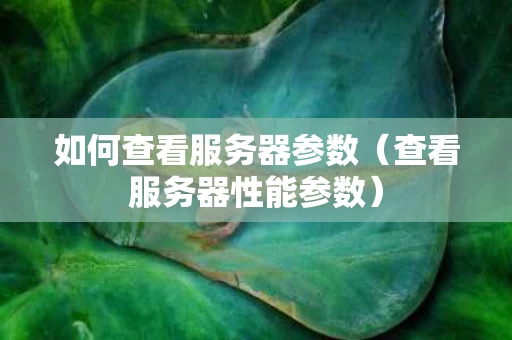 如何查看服务器参数（查看服务器性能参数）