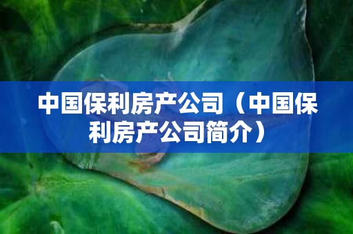 中国保利房产公司（中国保利房产公司简介）
