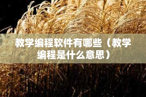 教学编程软件有哪些（教学编程是什么意思）