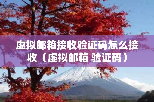 虚拟邮箱接收验证码怎么接收（虚拟邮箱 验证码）