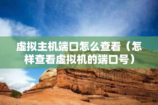 虚拟主机端口怎么查看（怎样查看虚拟机的端口号）