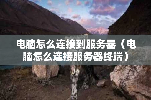 电脑怎么连接到服务器（电脑怎么连接服务器终端）