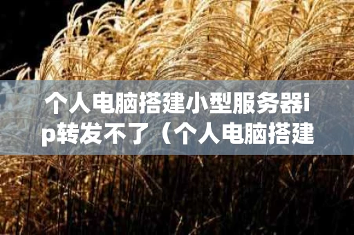 个人电脑搭建小型服务器ip转发不了（个人电脑搭建小型服务器ip转发不了怎么回事）