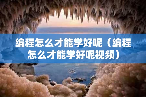编程怎么才能学好呢（编程怎么才能学好呢视频）