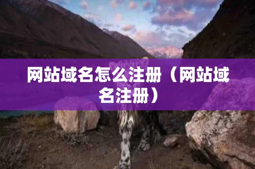 网站域名怎么注册（网站域名注册）