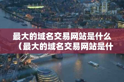 最大的域名交易网站是什么（最大的域名交易网站是什么）