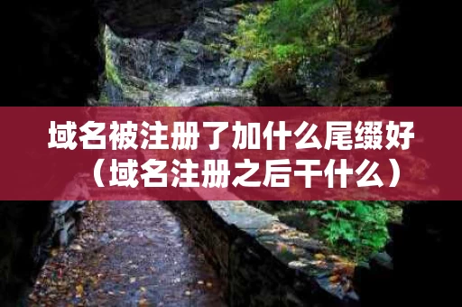 域名被注册了加什么尾缀好（域名注册之后干什么）