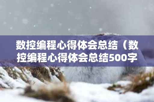 数控编程心得体会总结（数控编程心得体会总结500字）