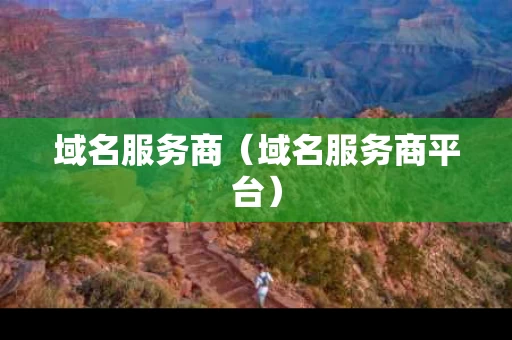 域名服务商（域名服务商平台）