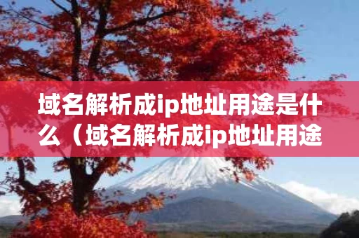 域名解析成ip地址用途是什么（域名解析成ip地址用途是什么意思）