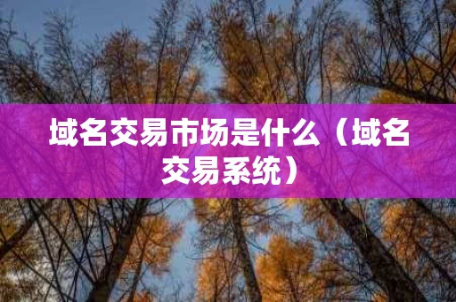 域名交易市场是什么（域名交易系统）