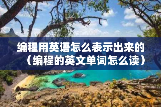 编程用英语怎么表示出来的（编程的英文单词怎么读）