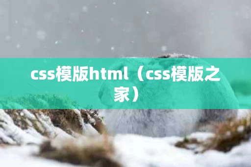 css模版html（css模版之家）