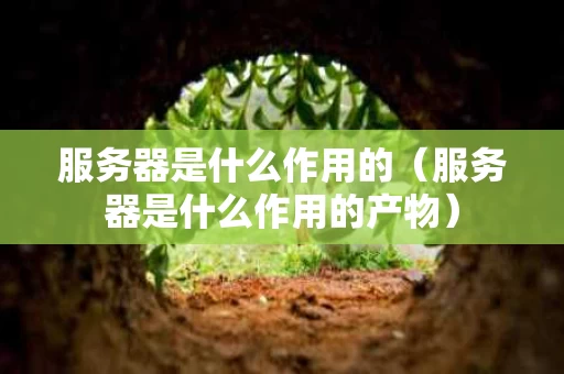 服务器是什么作用的（服务器是什么作用的产物）