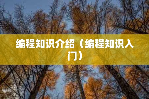 编程知识介绍（编程知识入门）