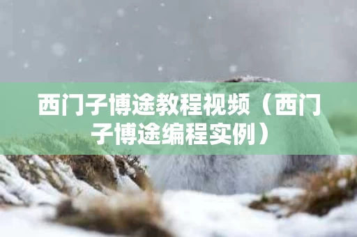 西门子博途教程视频（西门子博途编程实例）