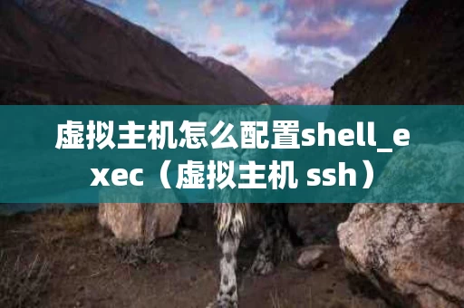 虚拟主机怎么配置shell_exec（虚拟主机 ssh）