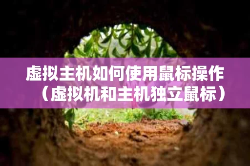 虚拟主机如何使用鼠标操作（虚拟机和主机独立鼠标）