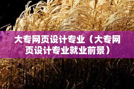 大专网页设计专业（大专网页设计专业就业前景）