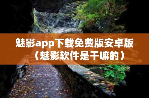 魅影app下载免费版安卓版（魅影软件是干嘛的）