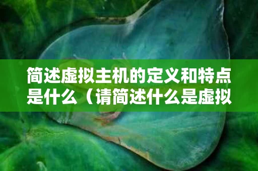简述虚拟主机的定义和特点是什么（请简述什么是虚拟主机）