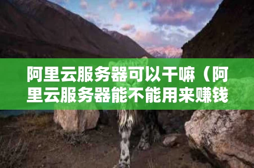 阿里云服务器可以干嘛（阿里云服务器能不能用来赚钱）
