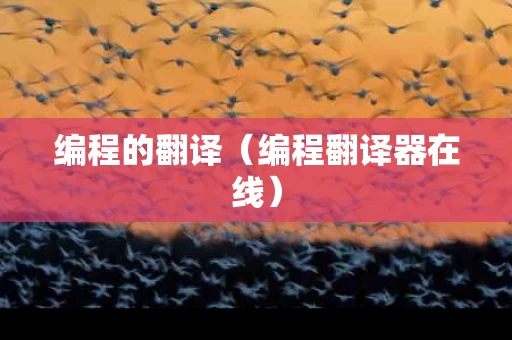 编程的翻译（编程翻译器在线）