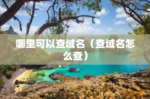 哪里可以查域名（查域名怎么查）