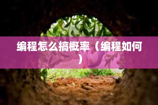 编程怎么搞概率（编程如何）