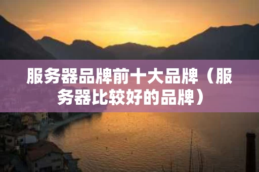 服务器品牌前十大品牌（服务器比较好的品牌）