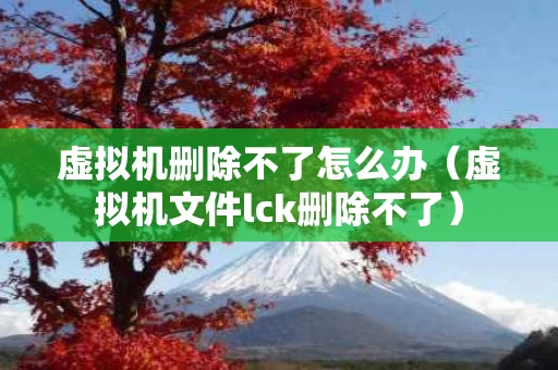 虚拟机删除不了怎么办（虚拟机文件lck删除不了）