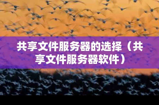 共享文件服务器的选择（共享文件服务器软件）